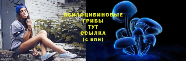 стафф Беломорск