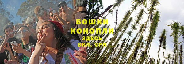 стафф Беломорск