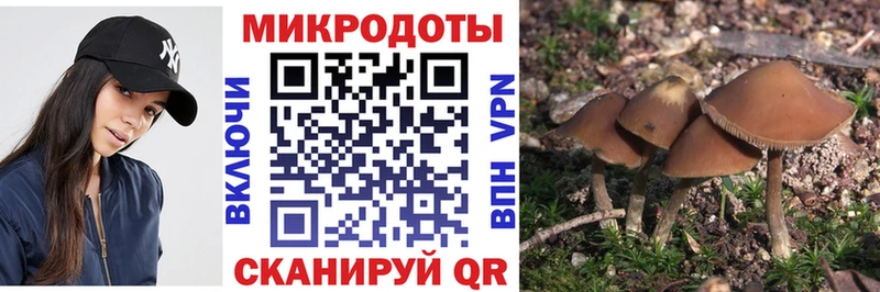 Псилоцибиновые грибы Psilocybe  где продают наркотики  Семикаракорск 